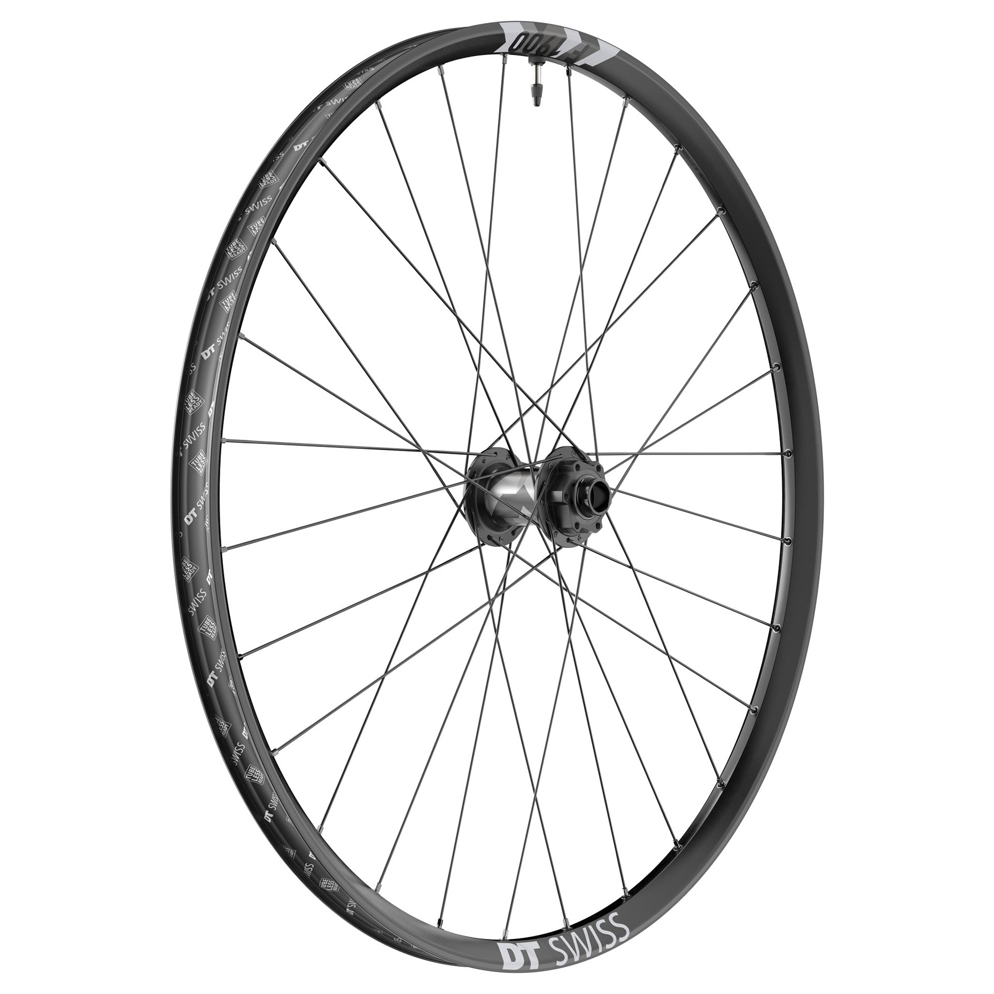 DT Swiss F 1900 Classic Front Wheel, 29", 20x110 Boost-0