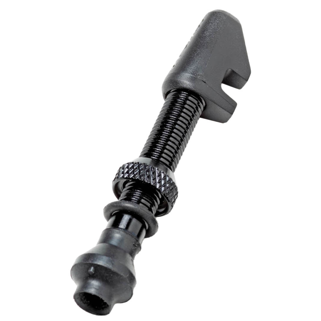 DT Swiss Alloy Tubeless Valve w/circular nut, 32mm, Black, Each-0