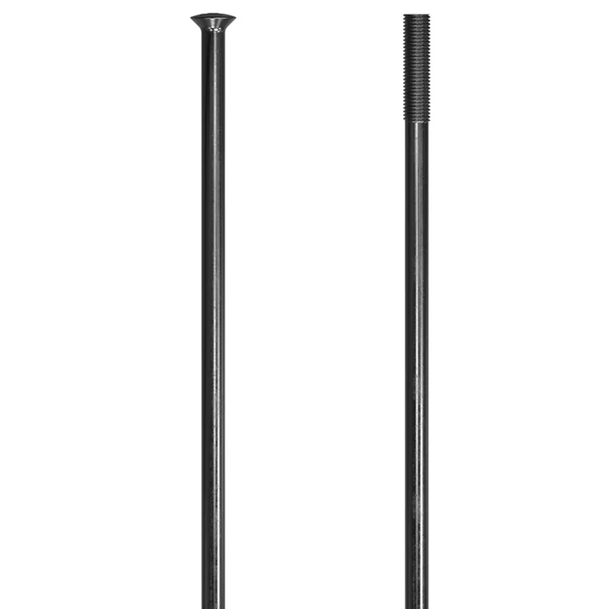 DT Swiss Champion 14g Spoke, SP, Black, 288mm, 20/Count-0