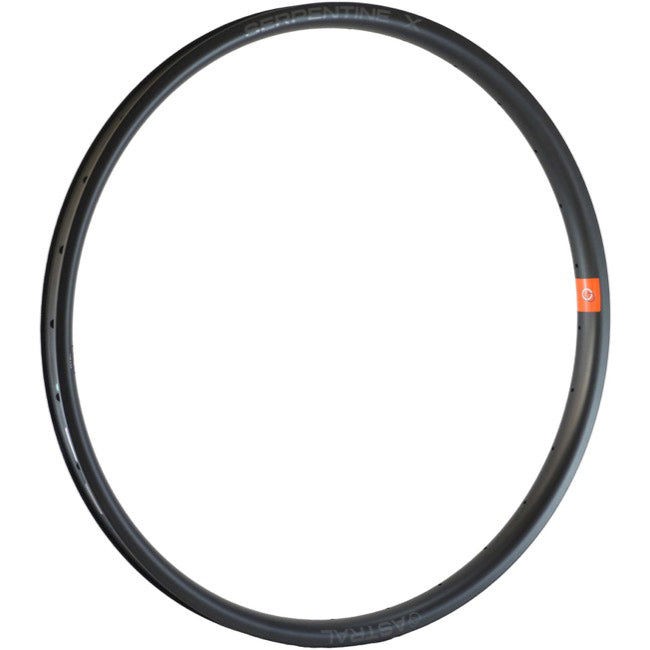 Astral Serpentine X 29" Carbon Disc Brake Rim, 32h, Black NLS-0