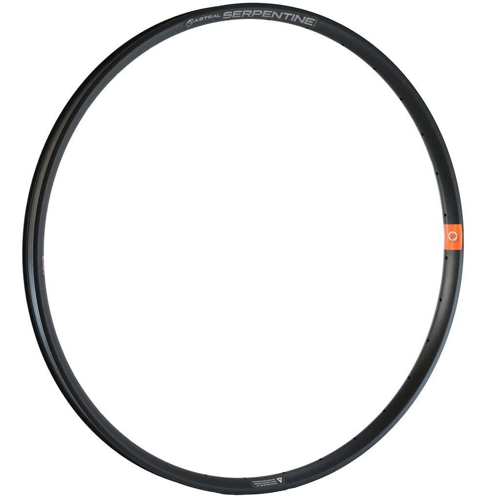 Astral Serpentine 29" Alloy Disc Brake Rim, 28h, Black-0