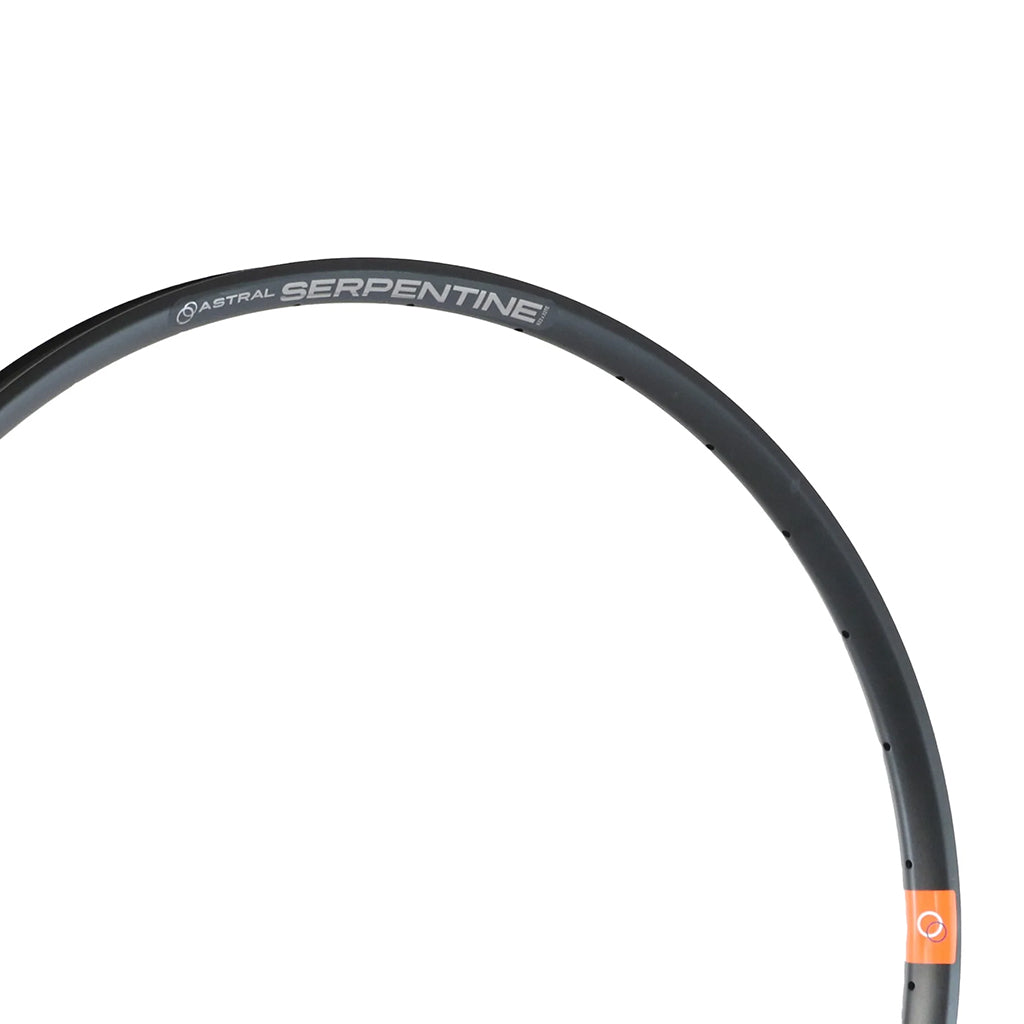 Astral Serpentine 29" Alloy Disc Brake Rim, 28h, Black-1